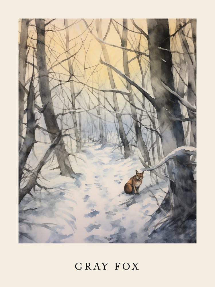 Winter Watercolour Gray Fox Poster