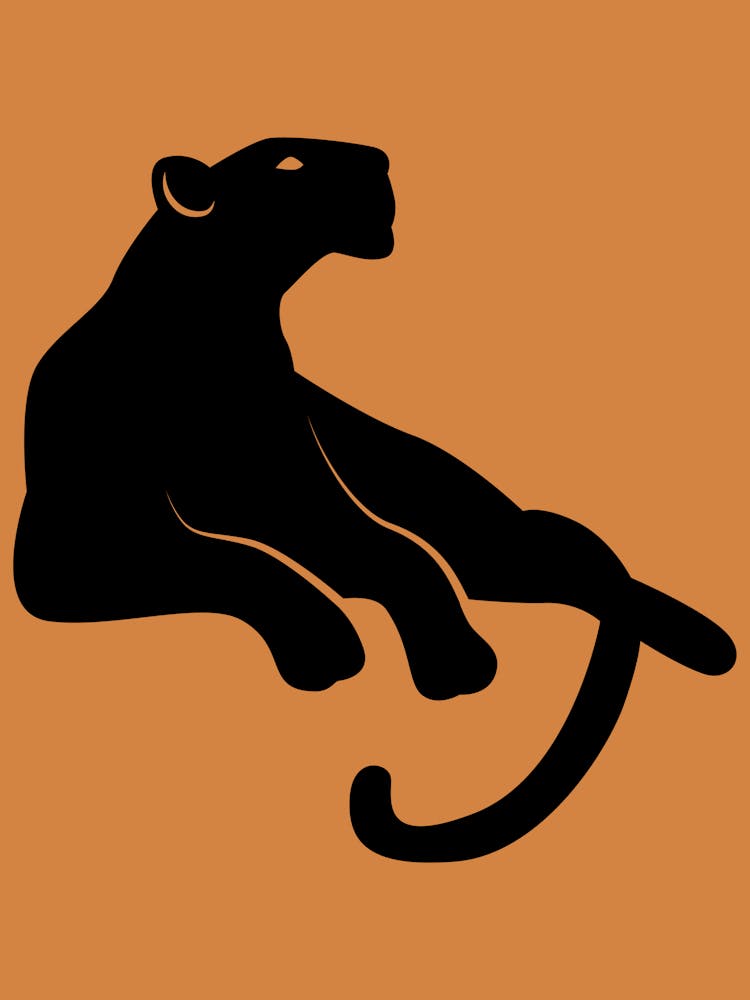 Black Panther 1