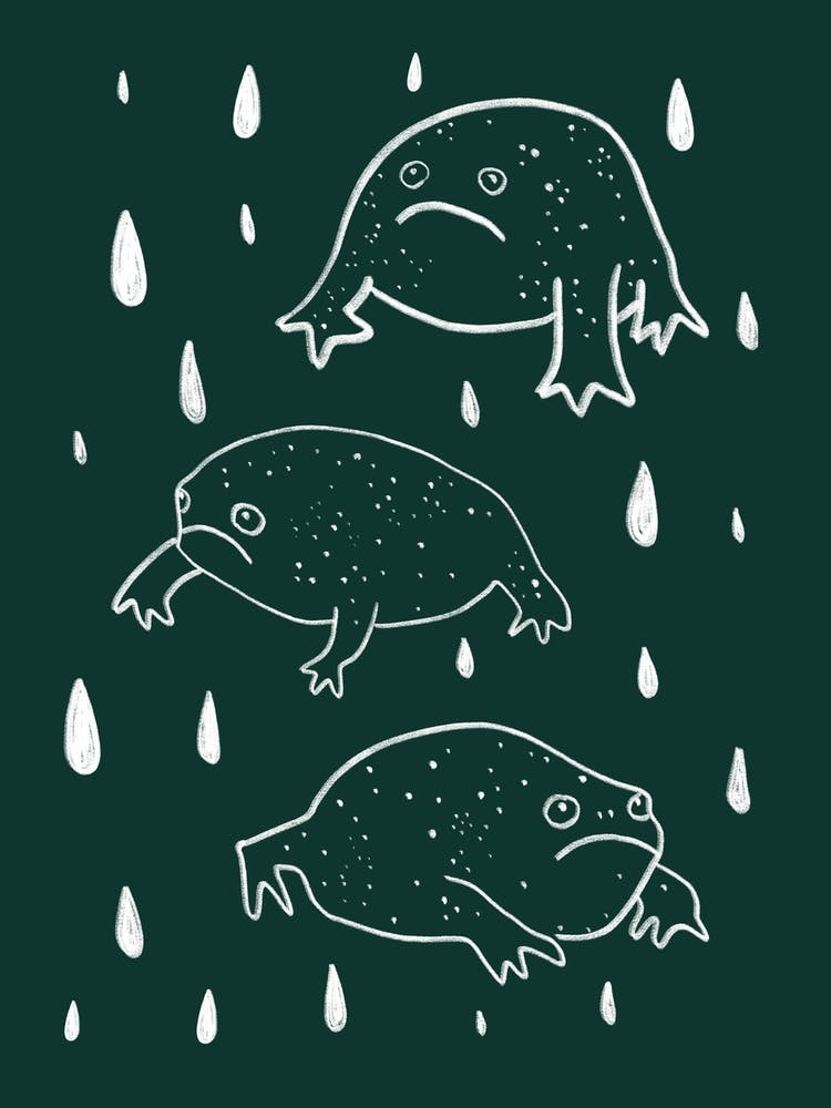 Rain Frog Pink