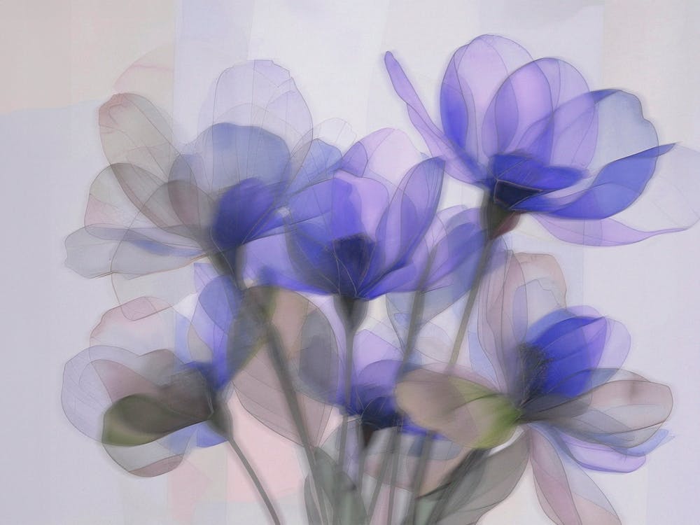 Watercolor Blurred Purple Flower Bouquet