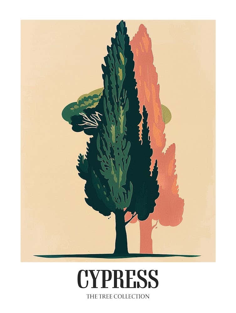 Cypress Tree Colourful Illustration 4 Poster