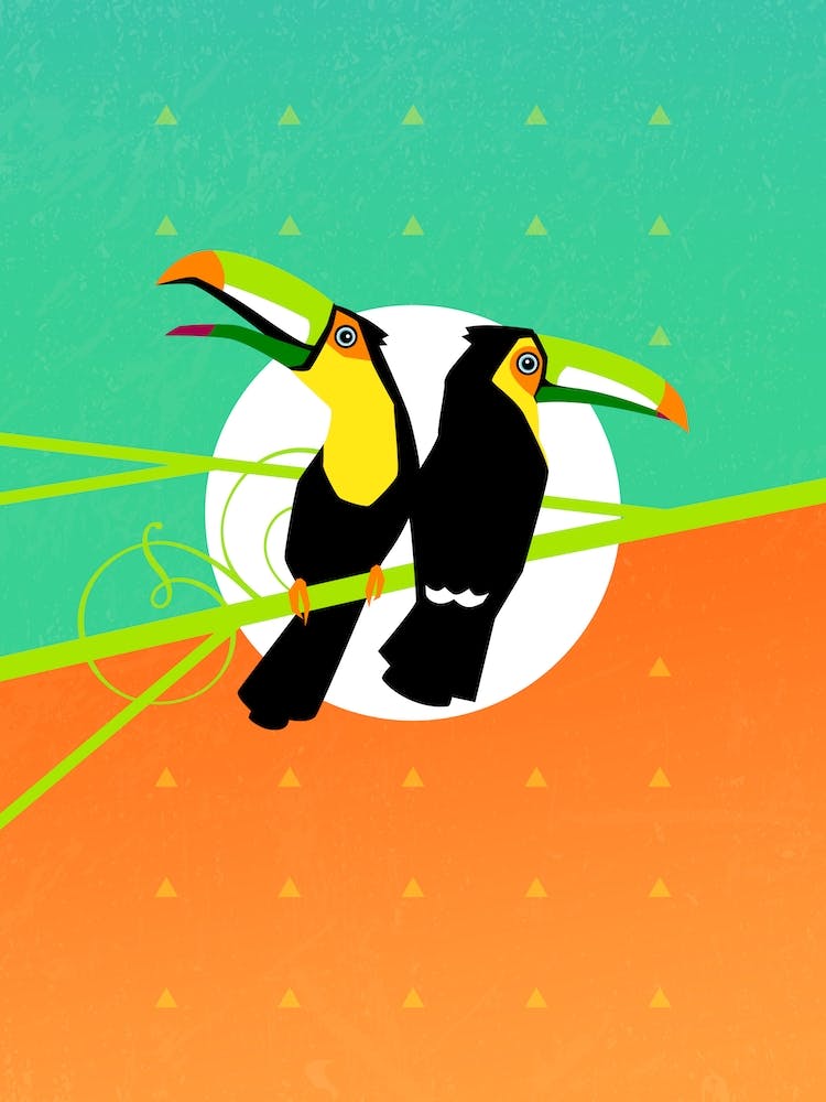 Tropical Toucans