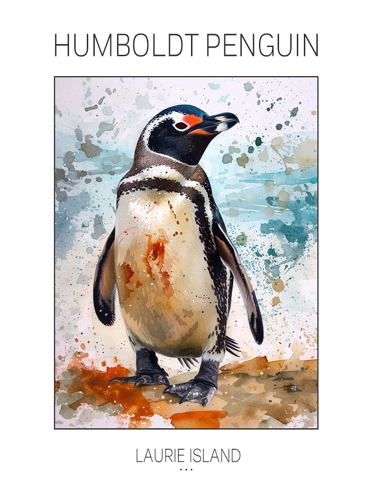 Humboldt Penguin Laurie Island Watercolour Painting 3 Poster