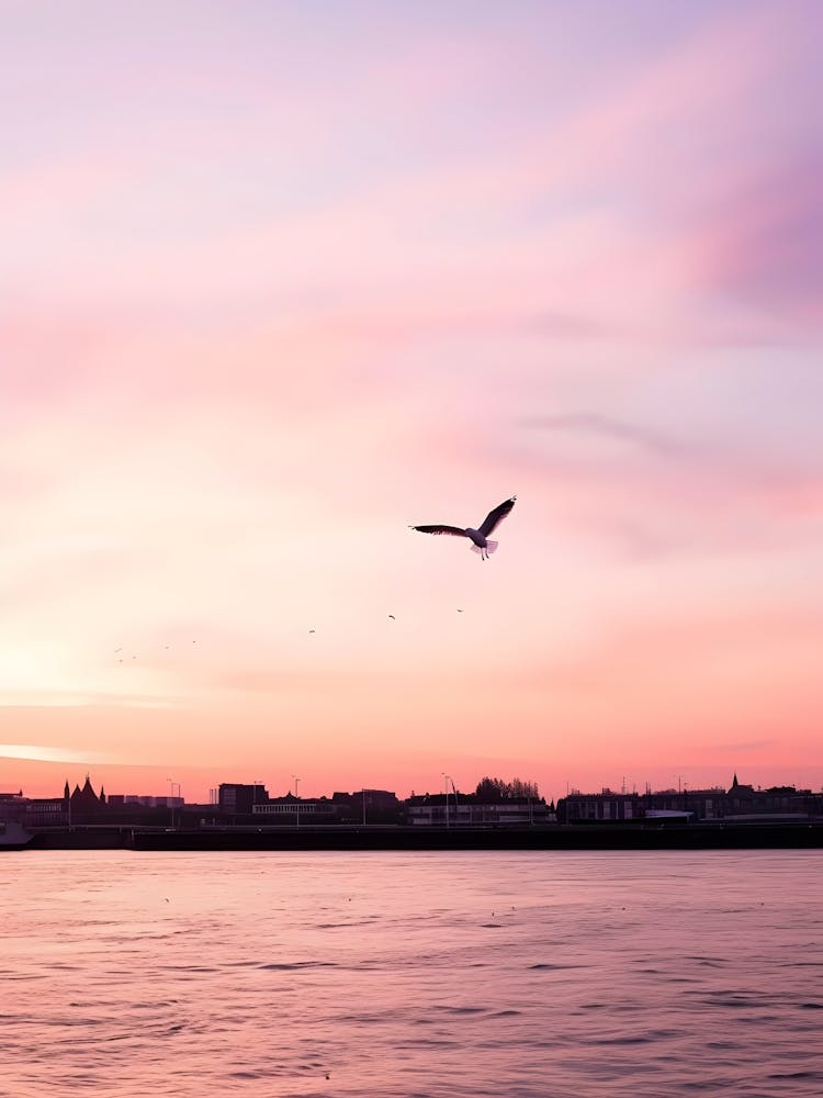 Seagull Flying Over The Water