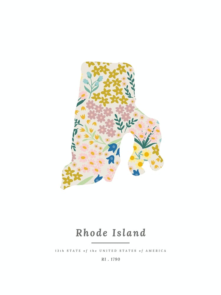 Rhode Island | Wildflower Mix