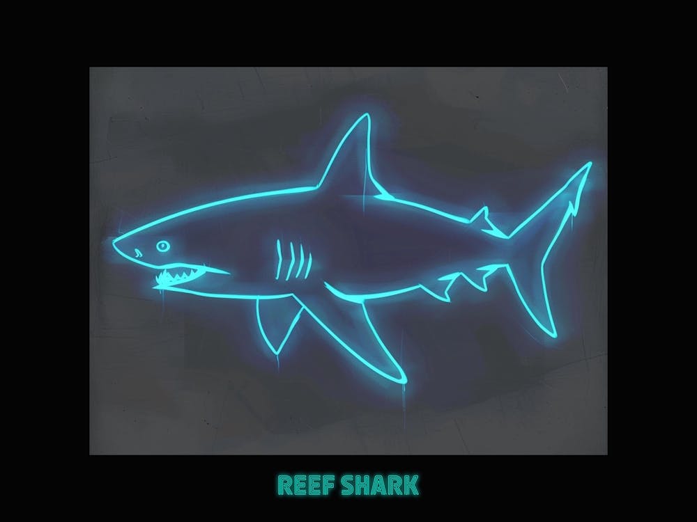 Neon White Tip Reef Shark 3 Poster