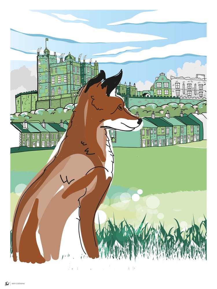 Fox In The Valley
