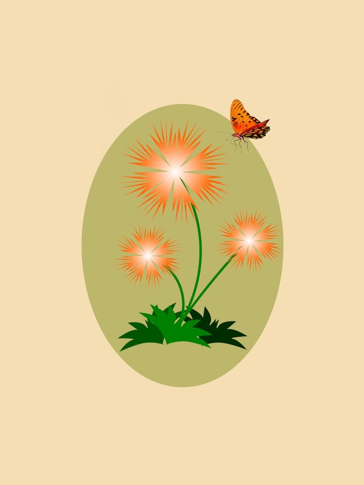 Flowers Butterfly Nature Floral Bloom Beautiful Flowers Blossom Insect Minimalist
