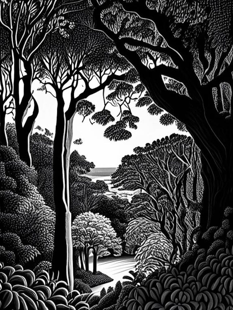 Dubrovnik Arboretum, Croatia Linocut Black And White Vintage