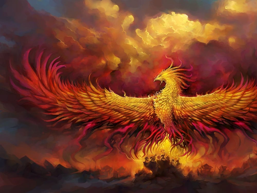 Phoenix bird fantasy