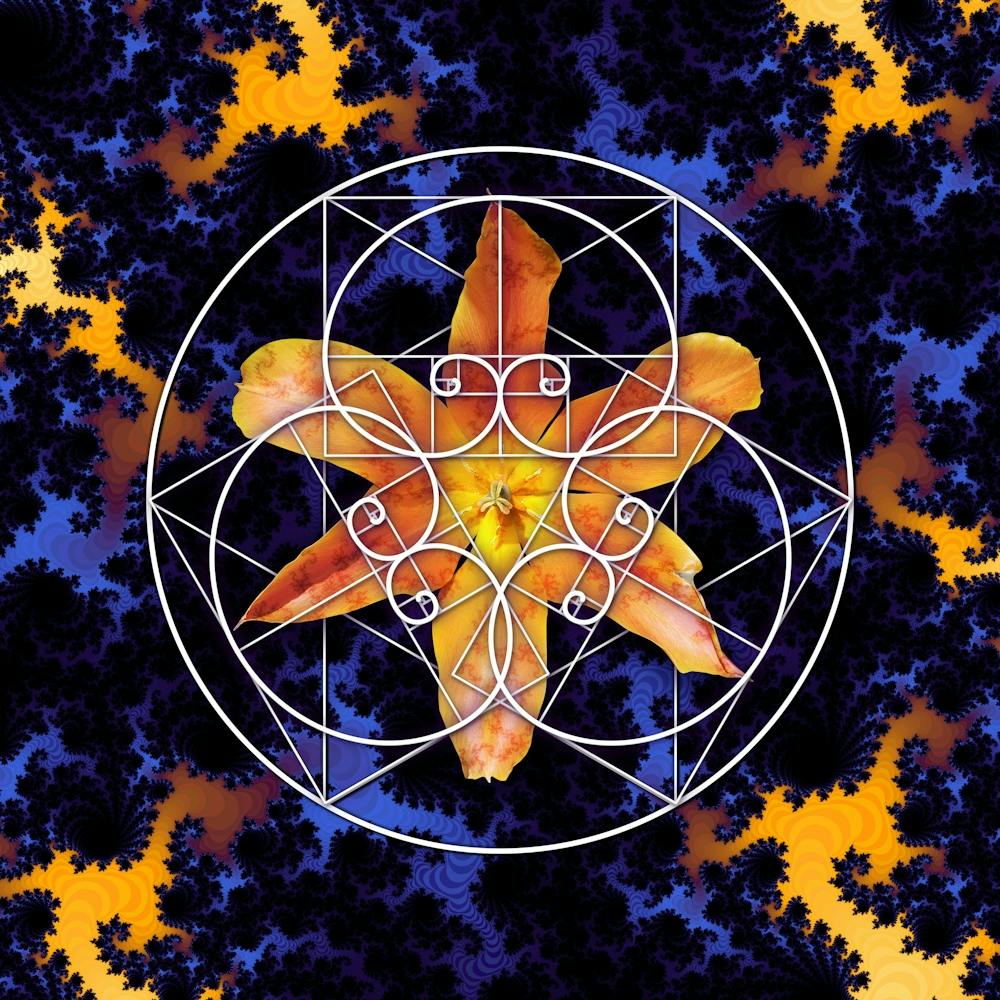 Géométrie Sacrée Spirale de Fibonacci Fleurs 6