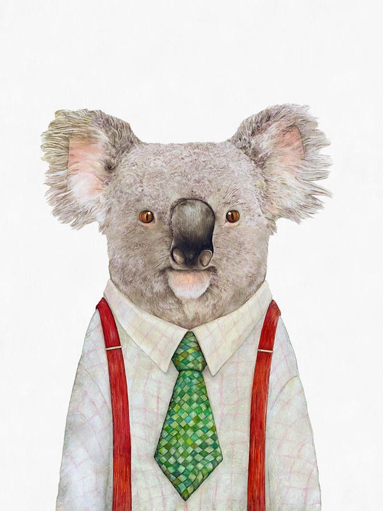 Koala In Business Suit
