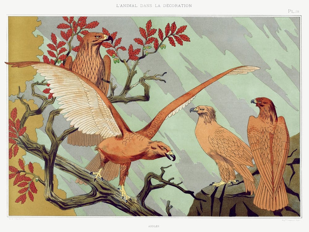 Eagles From The Animal In The Decoration (1897), Maurice Pillard Verneuil