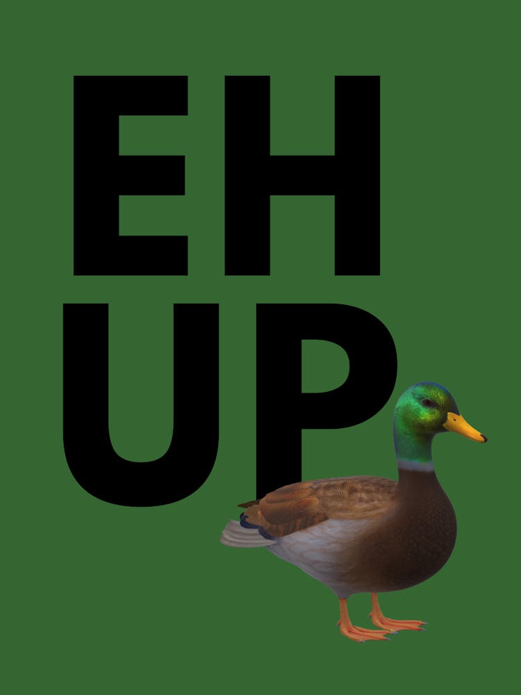 Eh Up Duck quote