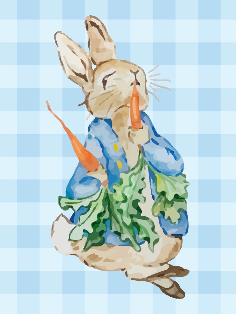 Peter Rabbit Inspired - Children's Nursery