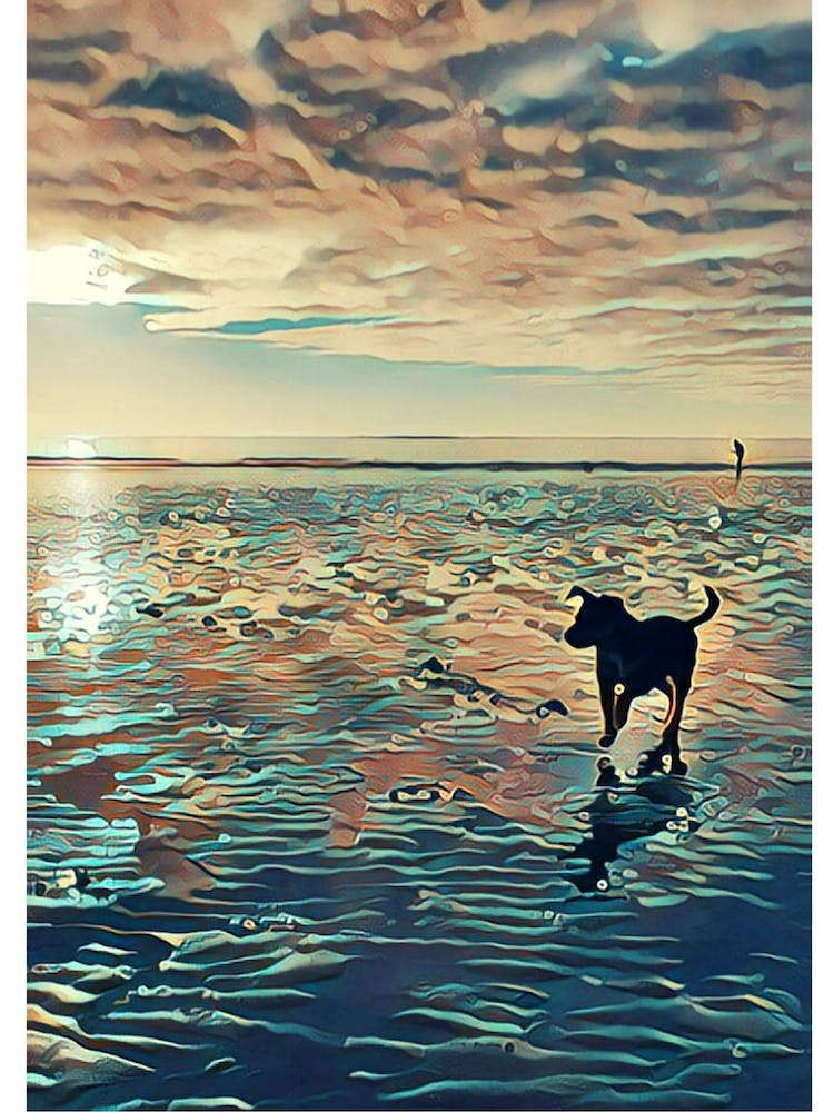Dogs A Beach Print