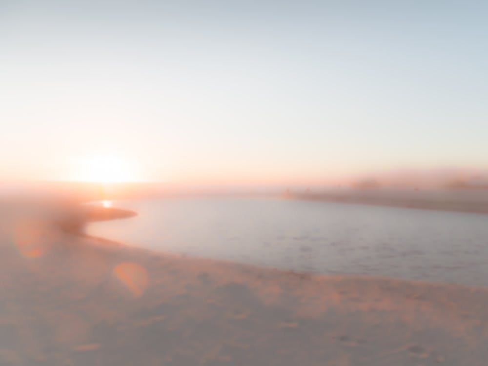 Seashore Dreams