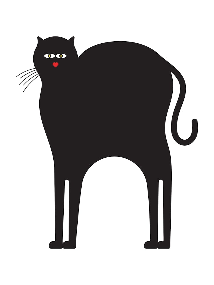 Black Cat