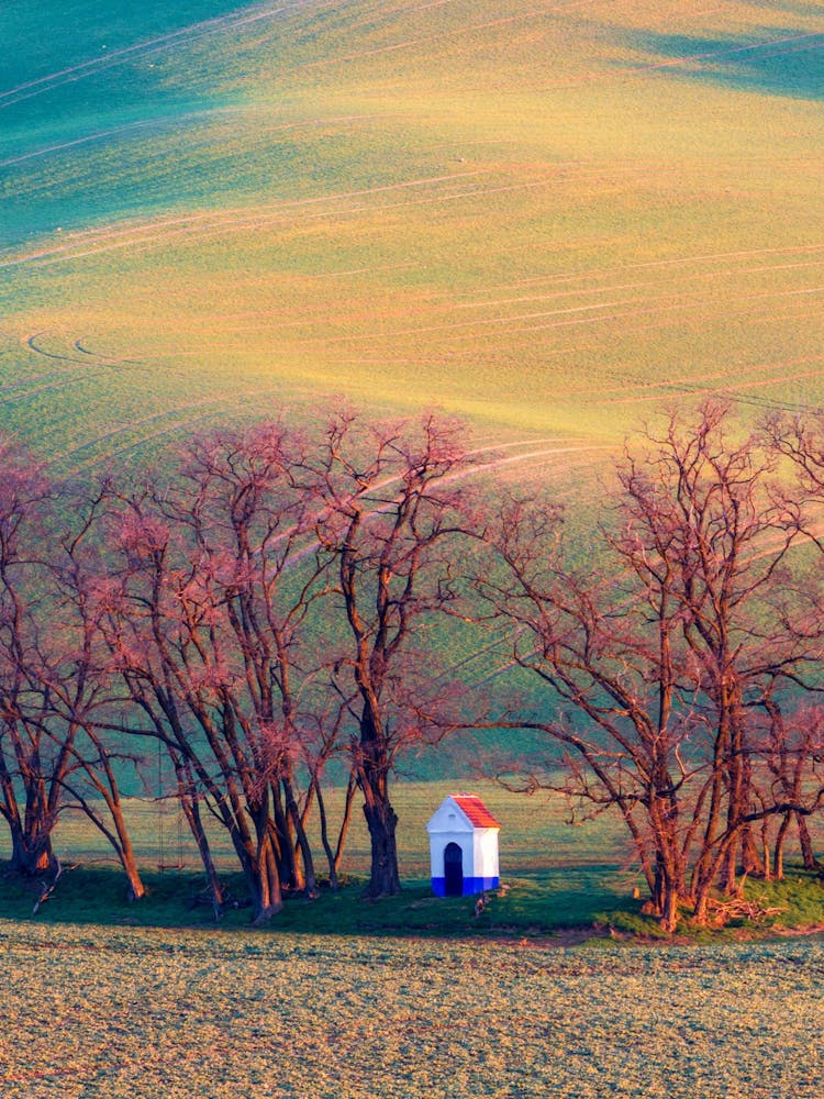 House In The Field