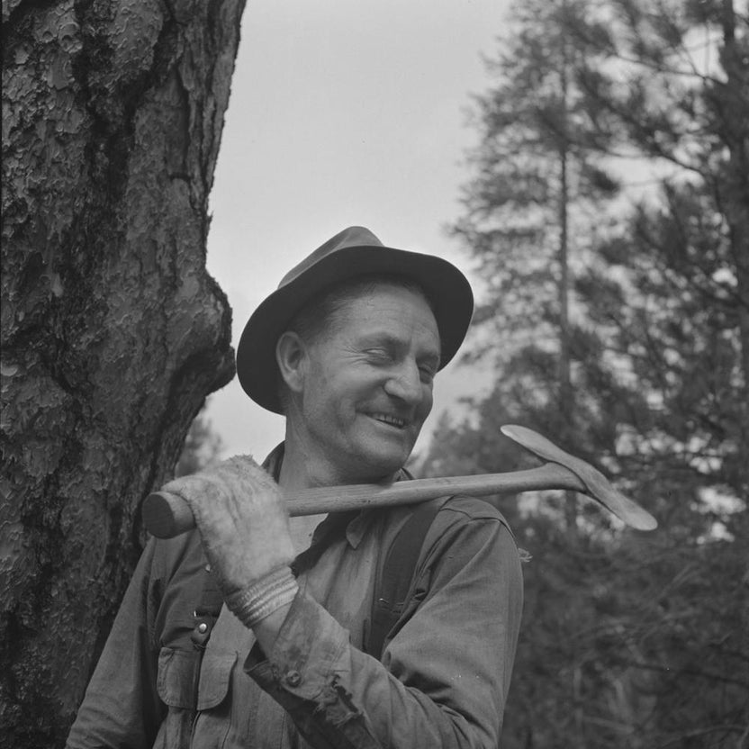 Untitled Photo, Possibly Related To Grant County, Oregon, Malheur National Forest