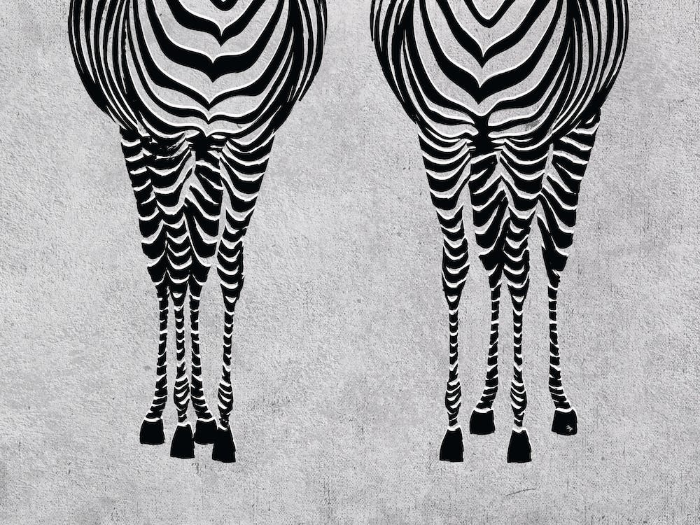 Zebras