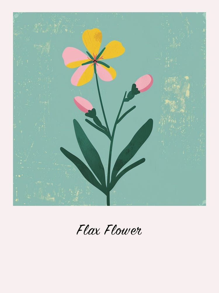 Flax Flower 1 Square Flower Illustration Poster