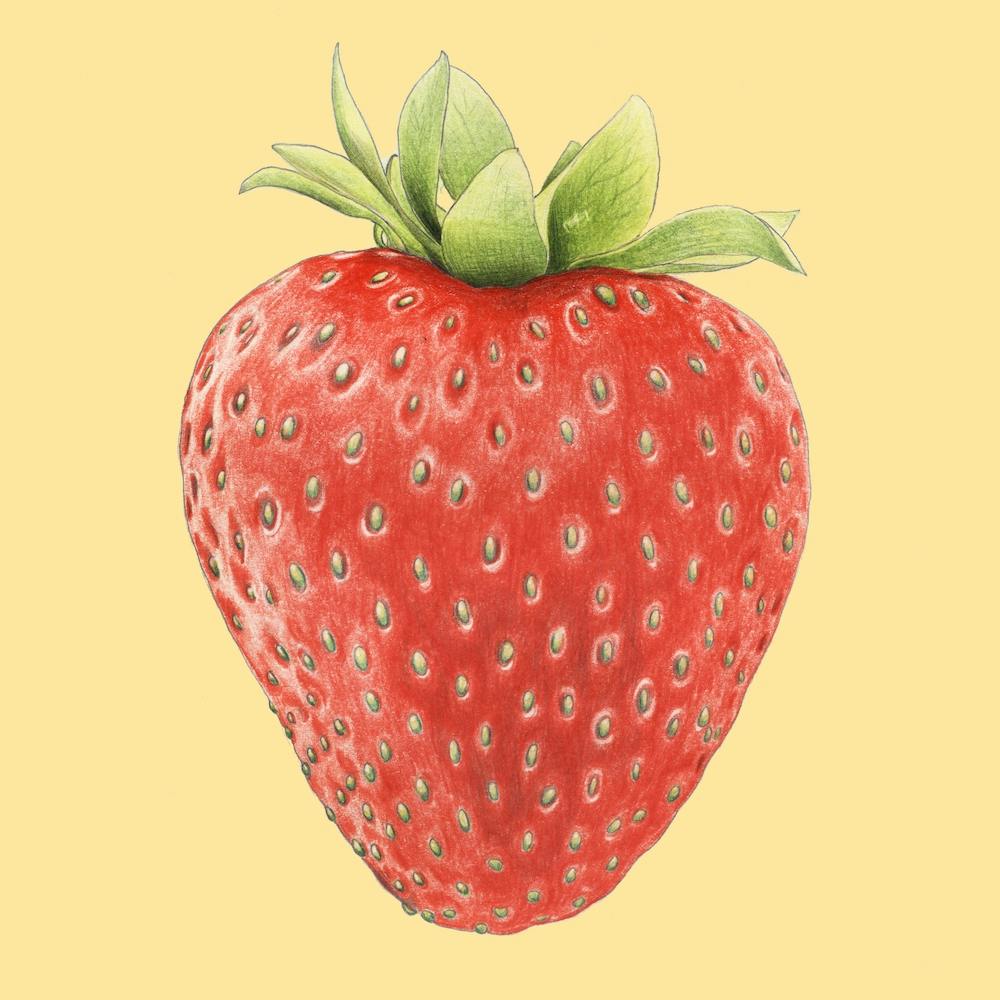 Summer Strawberry Square