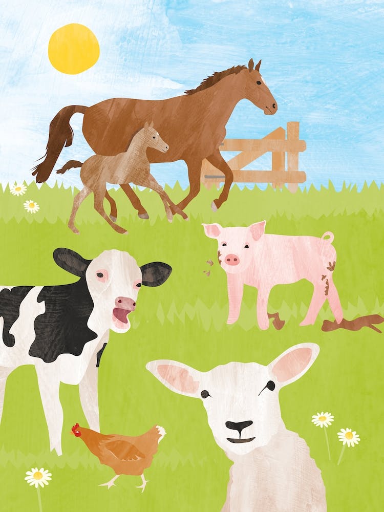 Farm Animals