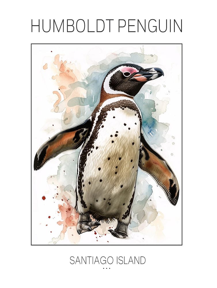 Humboldt Penguin Santiago Island Watercolour Painting 4 Poster