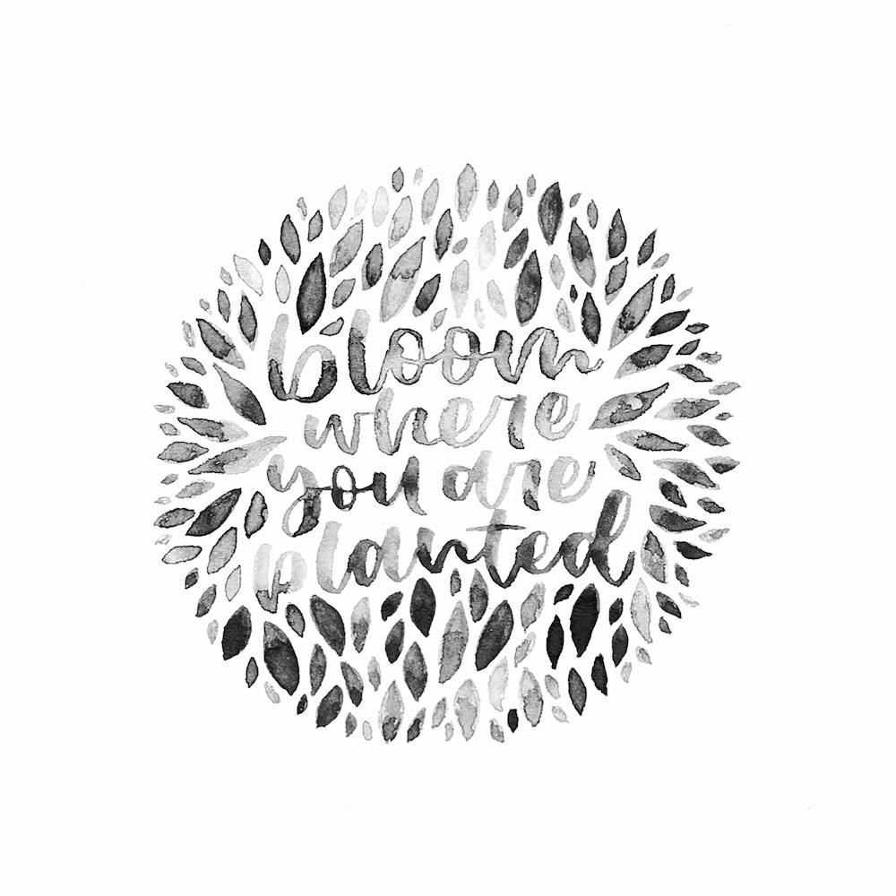 Bloom Where You Are Planted2
