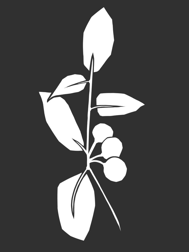 Five Leaves