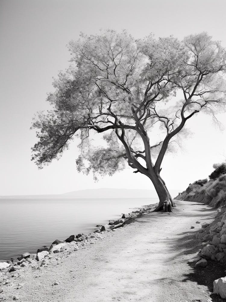 Gallipoli, Italy, Black And White Photography 4