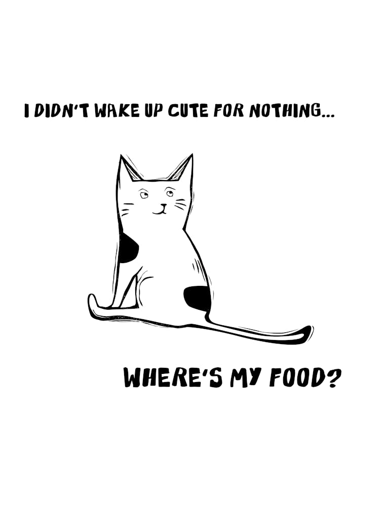 I Don'T Wake Cute For Nothing Where'S My Food?