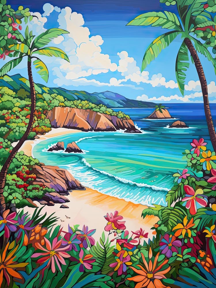 Trunk Bay Beach, Us Virgin Islands, Matisse And Rousseau Style 4