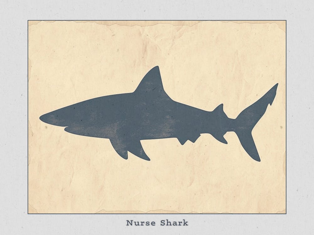 Nurse Shark Grey Silhouette 5 Poster