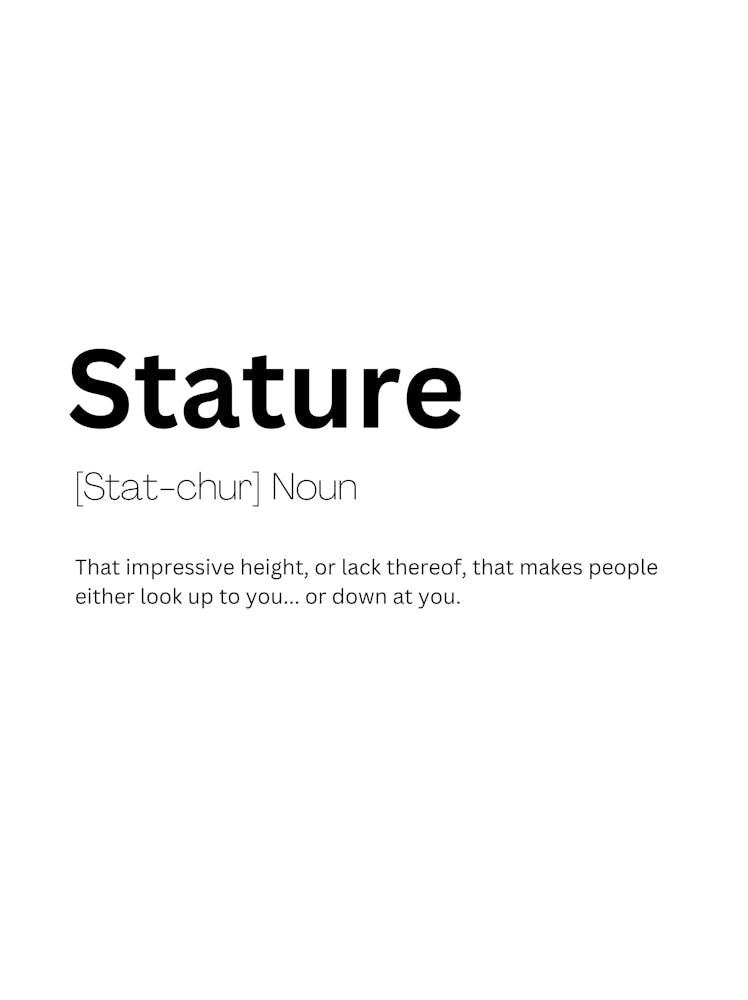 Stature Definition Meaning