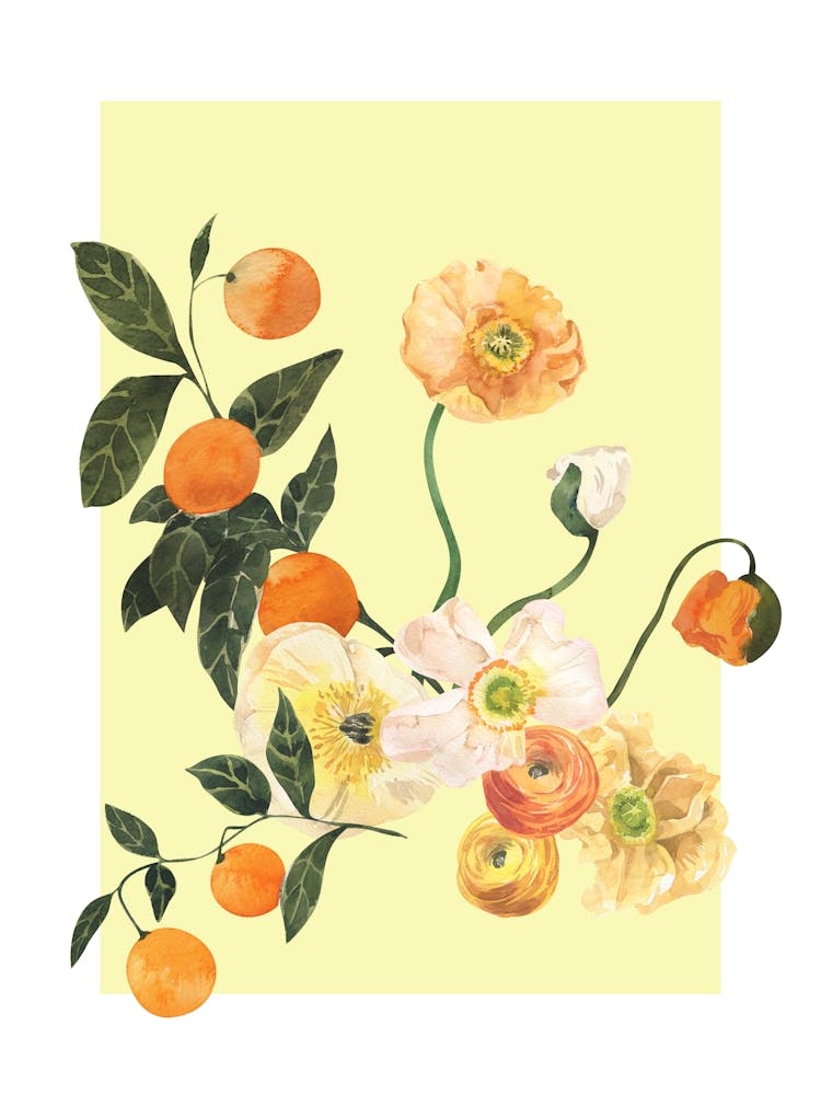 Oranges And Flowers