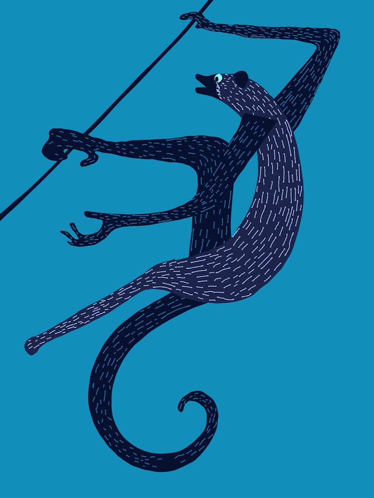 Vintage Monkey On A Rope