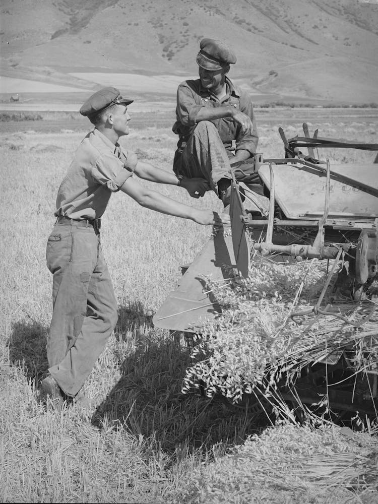 Untitled Photo, Possibly Related To Neighboring Farmer Asking One Of The Members Of The Olsen Cooperative