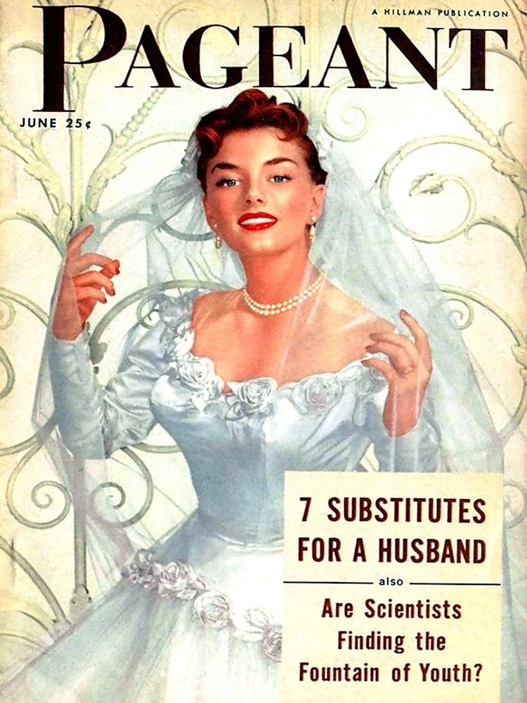 Seven Substitutes For A Husband, Funny Vintage Advertising Poster