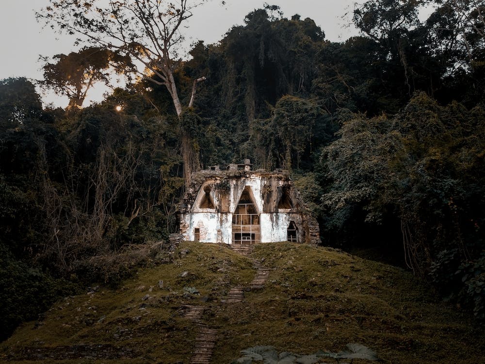 Mayan Ruins In The Jungle Of Palenque
