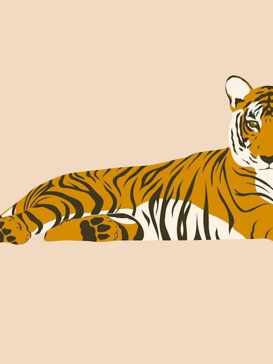 Tiger Relaxing - Beige