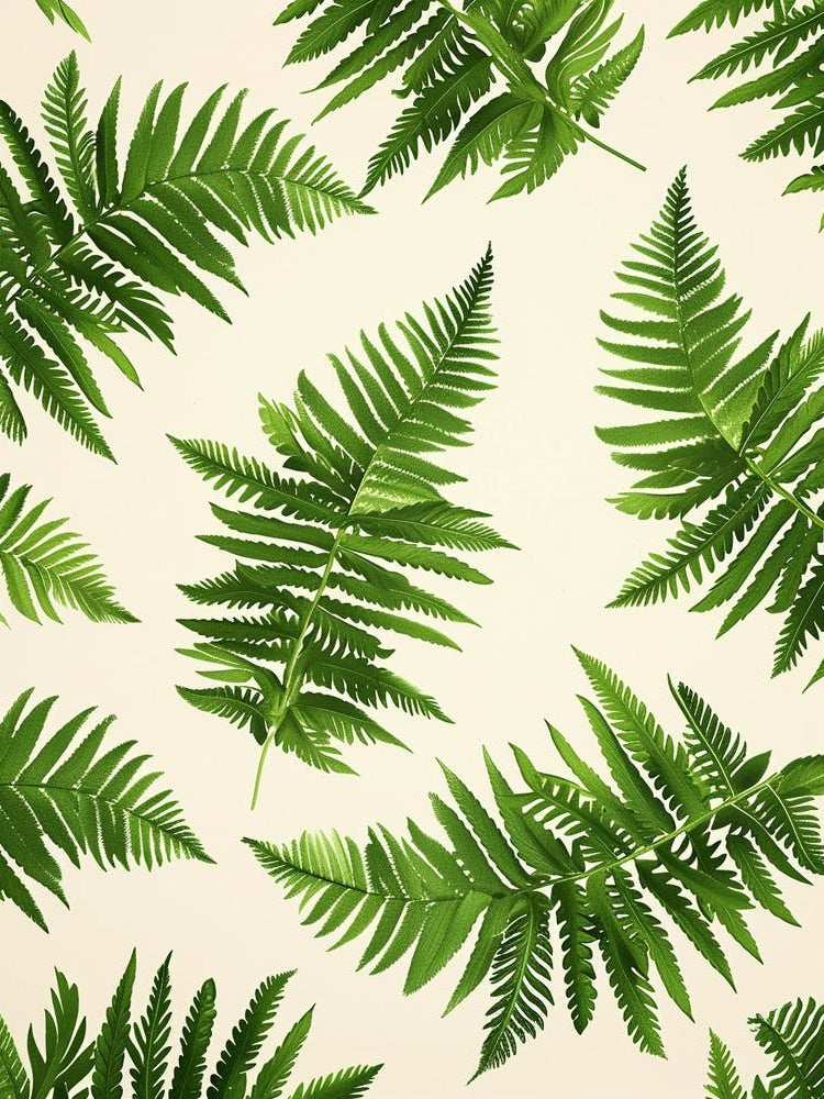 Pattern Poster Asparagus Fern 3