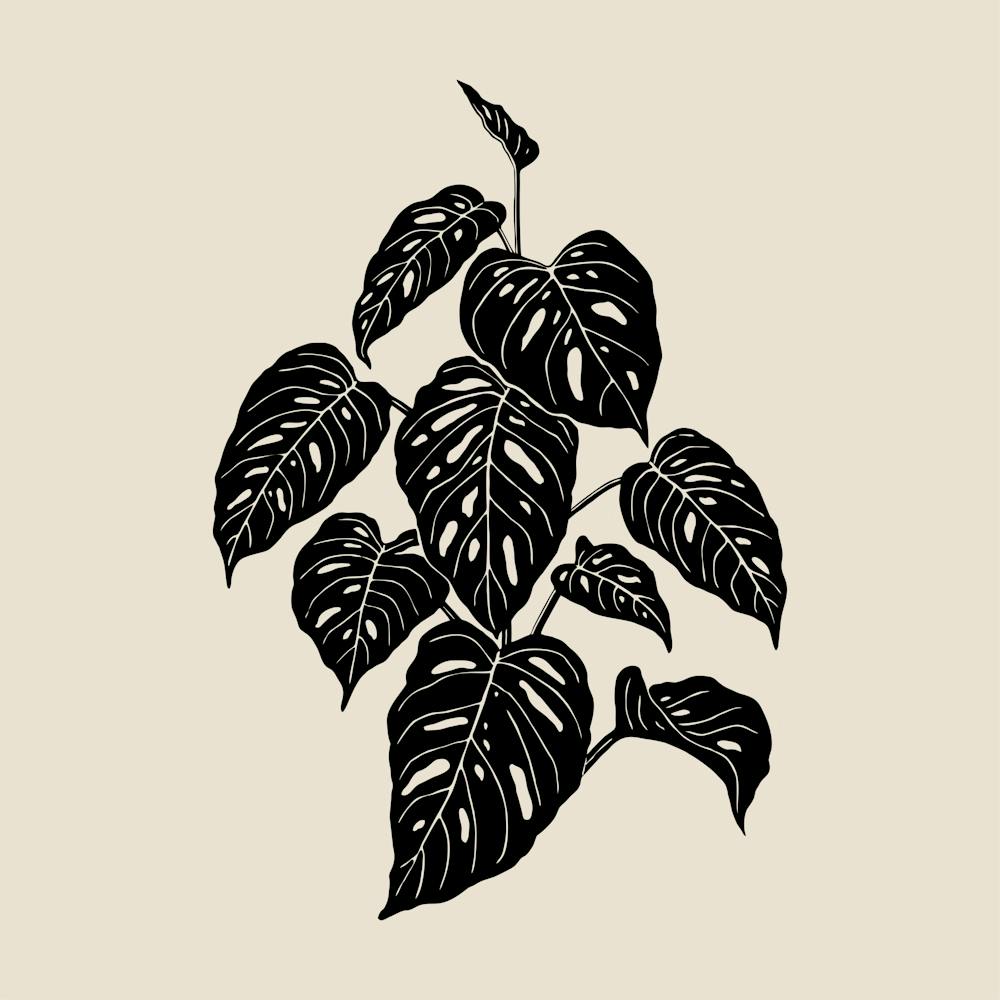 Monochromatic Foliage III