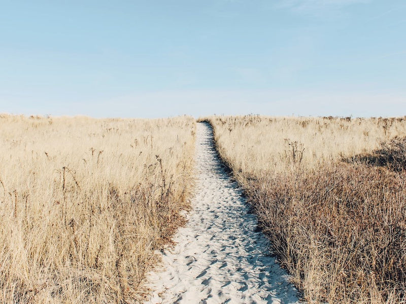Chemin Vers La Plage
