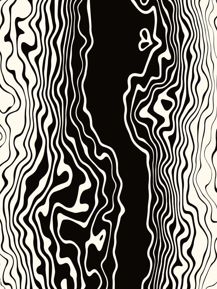 Black and White Wavy Squiggle Stripes