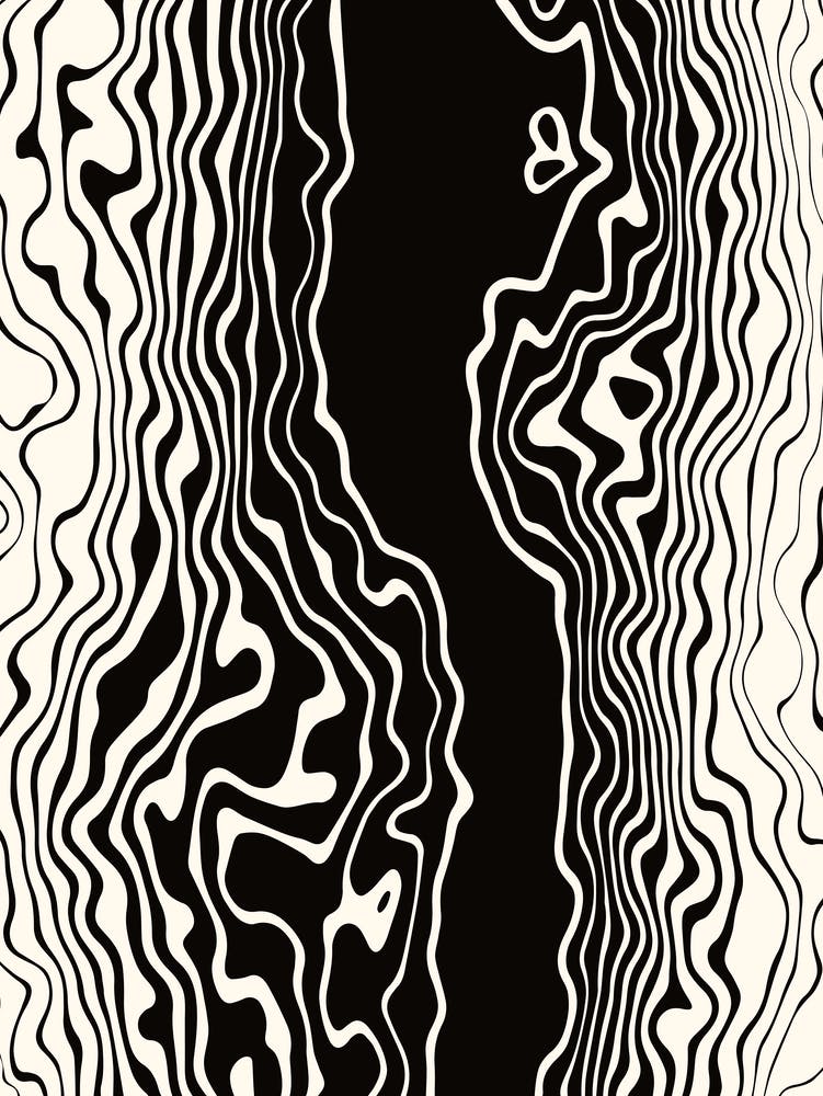 Black and White Wavy Squiggle Stripes