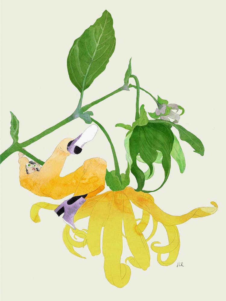 In The Garden Galaxy 1