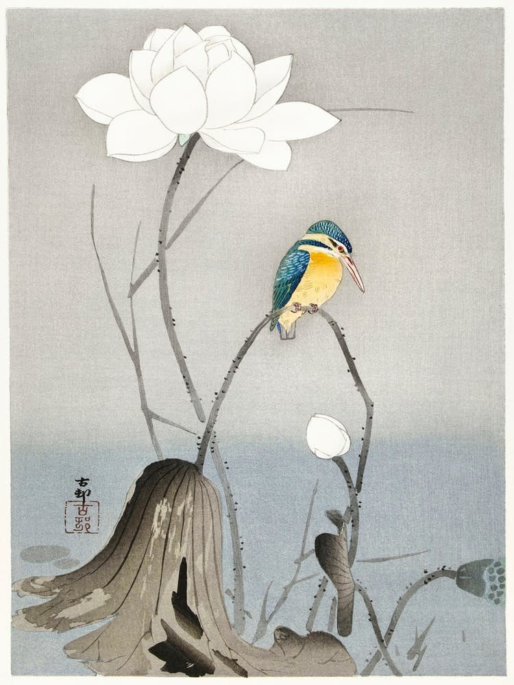 Eisvogel Mit Lotusblume (1900 1945), Ohara Koson