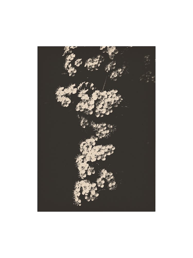 Nature Mix And Match 05